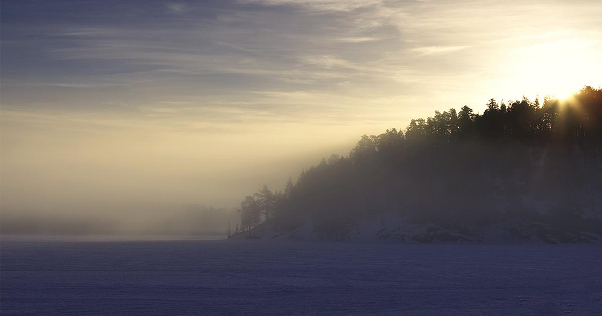 Dimma över landskap vid solnedgång, träd silhuetter mot himmel.