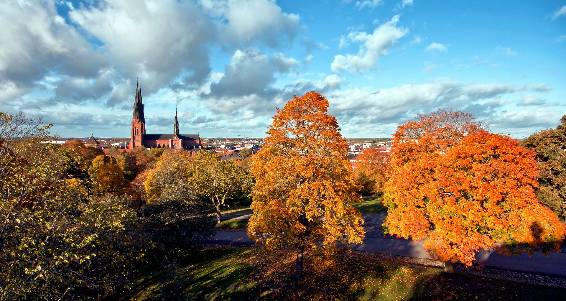 Utsikt över Uppsala med kyrka i bakgrunden och träd med höstlöv i förgrunden under en blå himmel med moln.